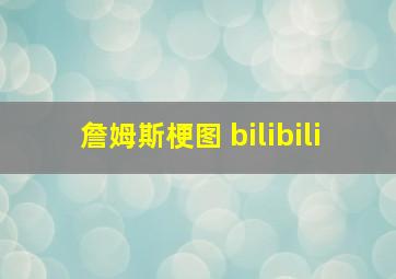 詹姆斯梗图 bilibili